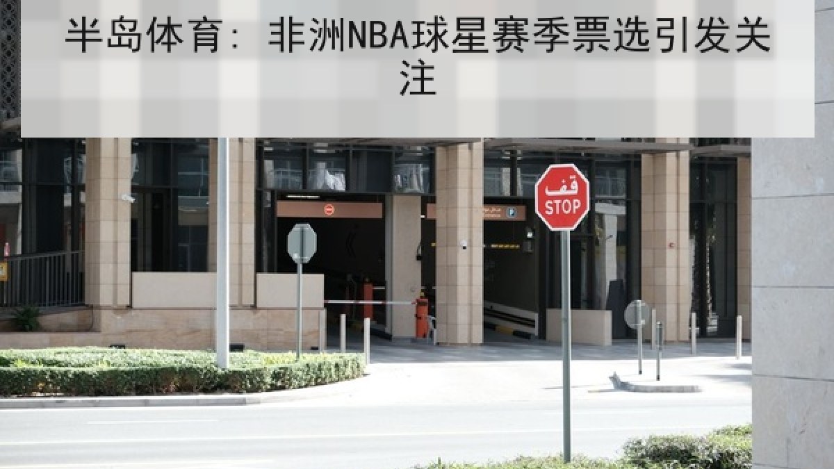 半岛体育: 非洲NBA球星赛季票选引发关注